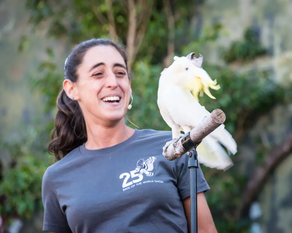 Cassie Malina, Beak School featured trainer